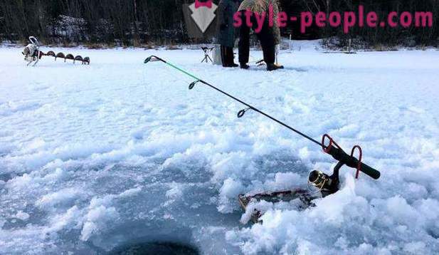 Jakt og fiske i Perm-regionen: spesielt fiske, typer jakt og fiske