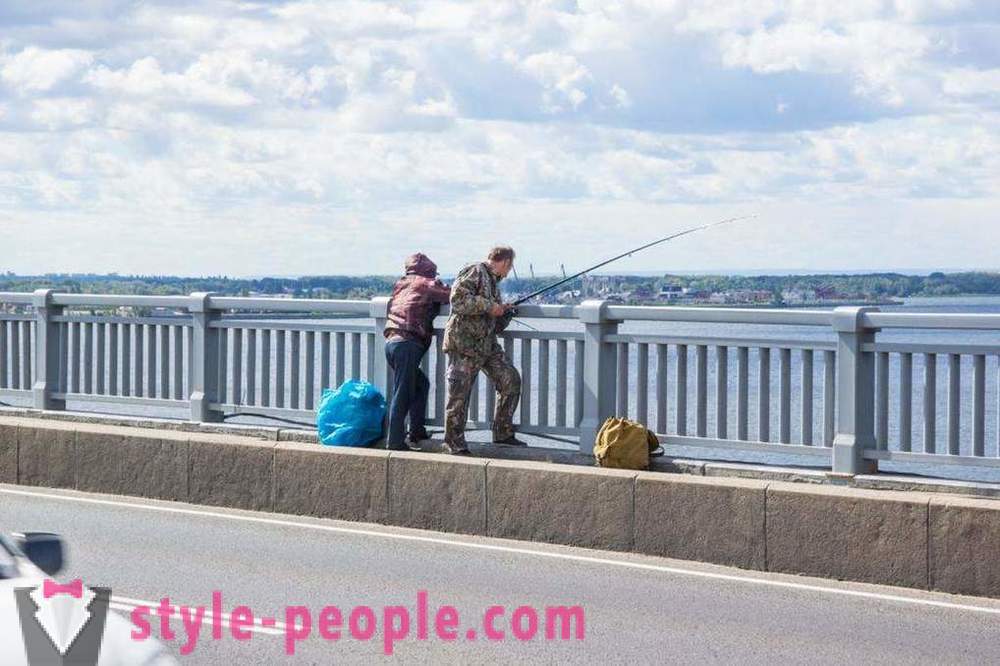 Fiske i Saratov på Volga: bilder og anmeldelser