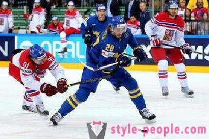 Tsjekkisk hockey spiller Martin Erat: biografi og karriere i idrett
