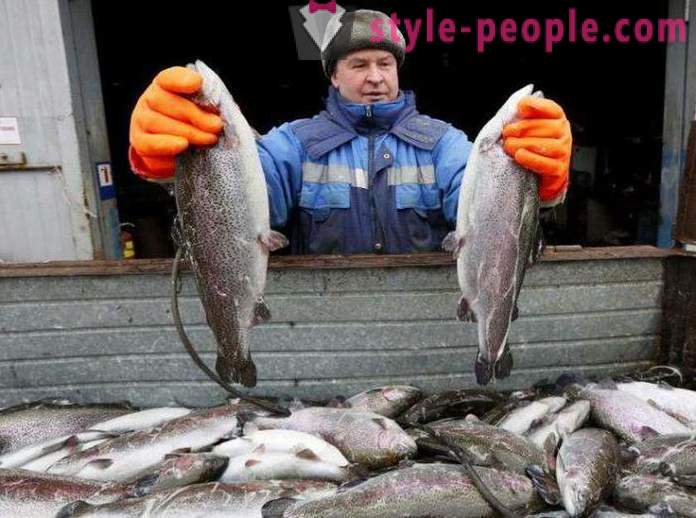 Fiske i Khakassia Tips sportsfiskere