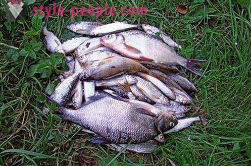 Fiske i Anapa: Tips sportsfiskere