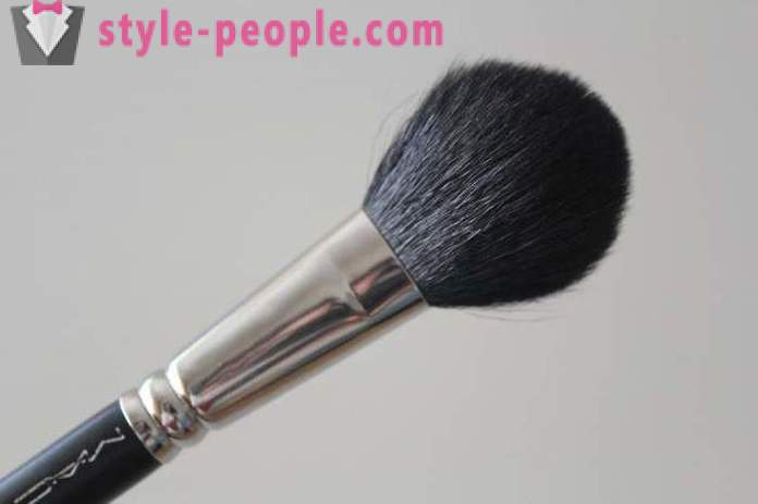 Pensle for blush: en gjennomgang av hvordan du velger og hvordan du bryr deg? Makeup Brush Set