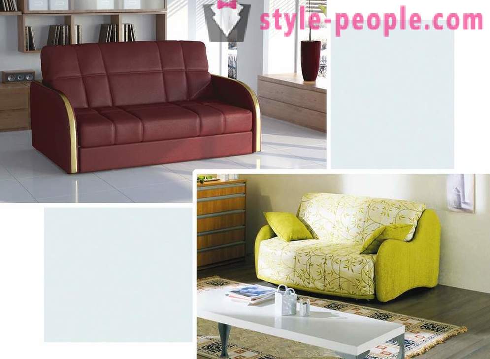 Hvordan velge en sofa for interiøret