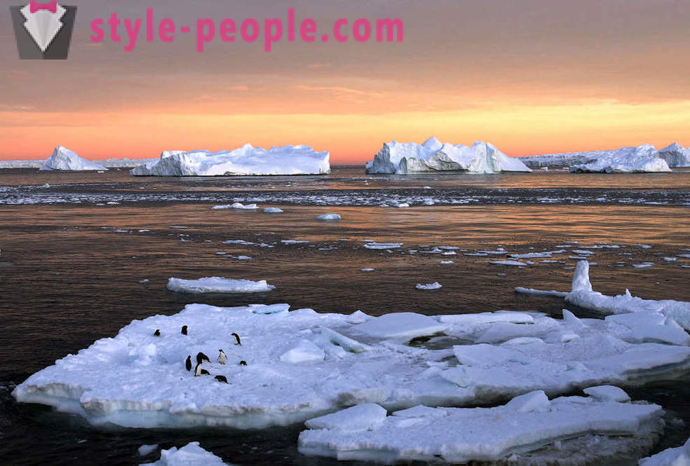 Photo reise til Antarktis