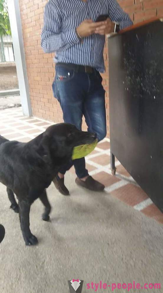 Hunden har lært å kjøpe mat til sin egen valuta