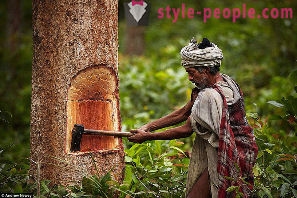 De siste jegere og samlere: livet til en primitiv stamme i Nepal