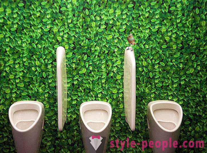 Av nødvendighet, men ikke gal: de mest uvanlige offentlige toaletter