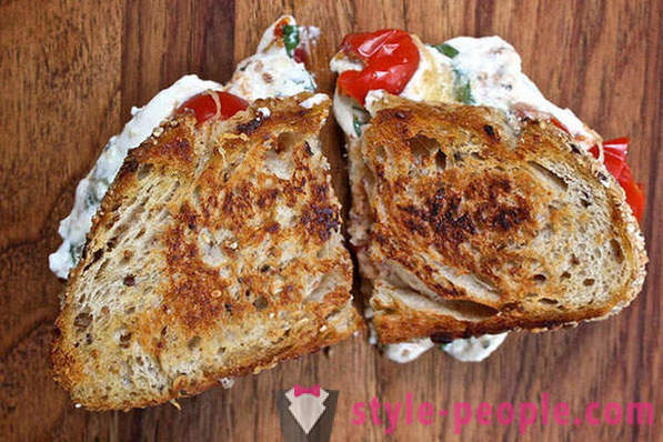 20 ideer fra hele verden hvordan man lager en sandwich med ost