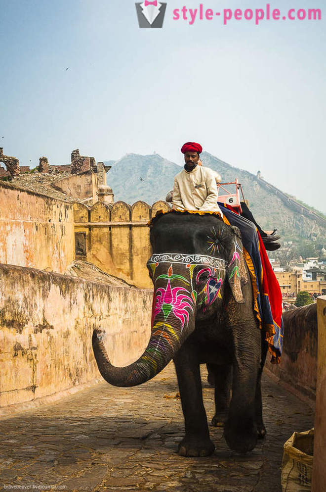 Reis til Jaipur Indian