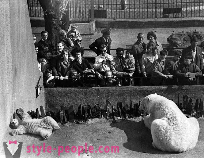 Uvanlige vintage bilder av dyr