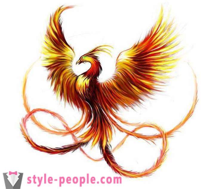 Phoenix Tattoo: skisser og opsjoner