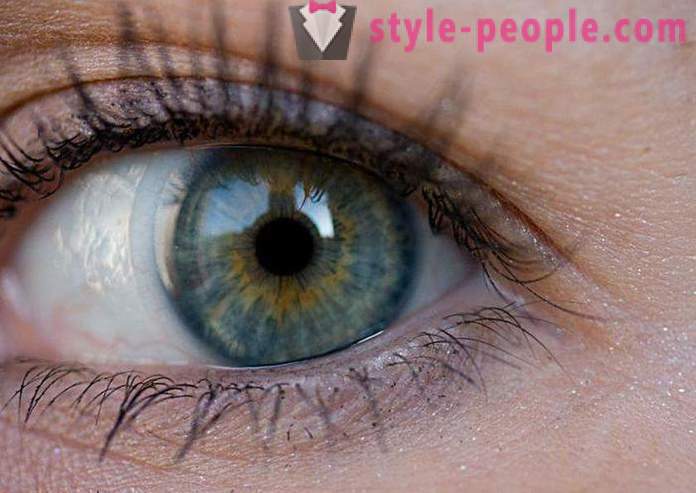 Swamp øyenfarge. Hva bestemmer fargen på det menneskelige øyet?