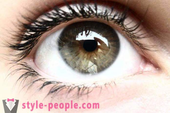 Swamp øyenfarge. Hva bestemmer fargen på det menneskelige øyet?