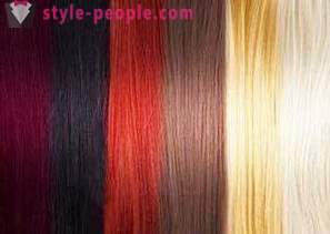 Den palett av farger for håret 
