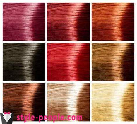 Paletten av hårfarger 