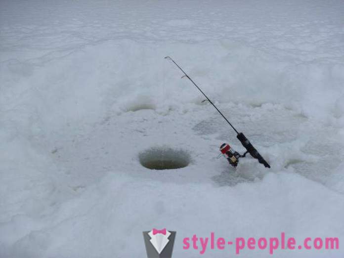 Taklinger til vinter fisking. De ulike alternativene