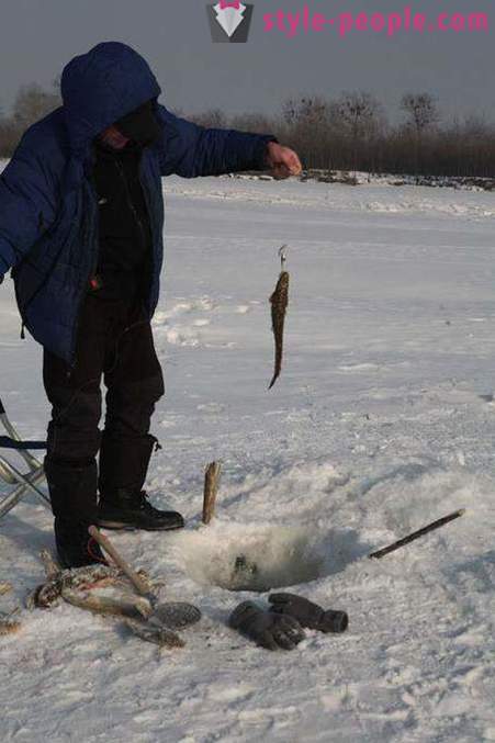 Lake fiske i vinter på zherlitsy. Fange lake i vinter trolling
