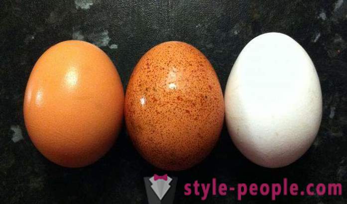 Egg kosthold: beskrivelsen, fordeler og ulemper