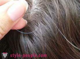 Hvorfor gjør håret gråne: Hvordan bremse denne prosessen